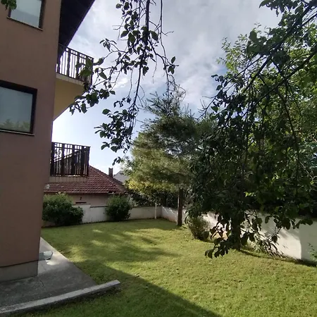 202 Saraievo